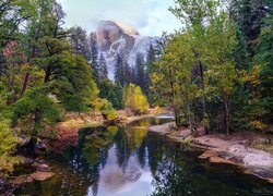 Drzewa nad rzeką Merced i szczyt Half Dome