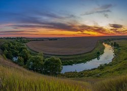 Drzewa nad rzeką okalającą pola