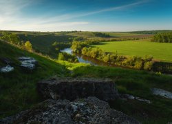 Drzewa nad rzeką Osyotr w Rosji