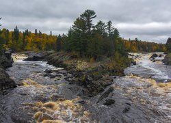 Jesień, Rzeka, Saint Louis River, Drzewa, Kamienie, Stany Zjednoczone