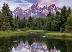 Park Narodowy Grand Teton, Rzeka Snake River, Góry Teton Range, Drzewa, Trawy, Odbicie, Stan Wyoming, Stany Zjednoczone