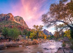 Park Narodowy Zion, Góry Watchman, Drzewa, Rzeka, Virgin River, Kamienie, Wschód słońca, Stan Utah, Stany Zjednoczone