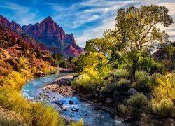 Drzewa nad rzeką Virgin River na tle góry Watchman