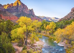 Stany Zjednoczone, Stan Utah, Park Narodowy Zion, Góry Watchman, Rzeka, Virgin River, Jesień, Kamienie, Drzewa