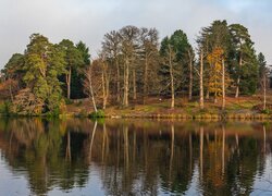 Drzewa nad rzeką w Windsor Park