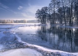 Drzewa nad rzeką zimą