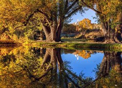 Drzewa nad stawem na farmie Rock Ledge Ranch