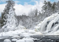 Drzewa nad wodospadem Bond Falls zimową porą