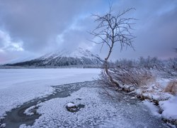 Drzewa nad zamarzniętą rzeką Kolvitsa