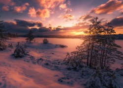 Zima, Drzewa, Jezioro, Zachód słońca, Śnieg