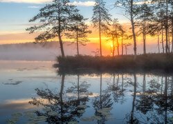 Jezioro, Drzewa, Trawy, Mgła, Las, Poranek, Niebo, Wschód słońca