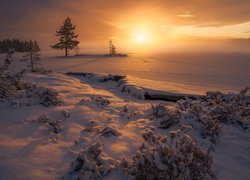 Zachód słońca, Zima, Śnieg, Zaśnieżone, Jezioro, Drzewa, Rośliny, Ringerike, Norwegia