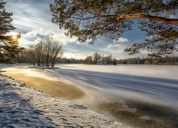 Zima, Park, Zaśnieżony, Staw, Drzewa