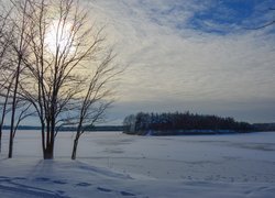 Drzewa nad zasypanym śniegiem jeziorem pod zamglonym słońcem