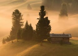 Płaskowyż Seiser Alm, Drewniany, Domek, Mgła, Drzewa, Włochy