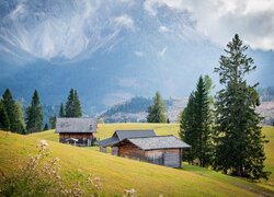 Drzewa obok drewnianych domków na tle gór