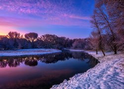 Zima, Drzewa, Rzeka, Granite Creek, Arizona, Stany Zjednoczone
