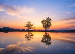 Drzewa odbijające się w jeziorze w blasku zachodzącego słońca