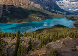 Drzewa po obu stronach jeziora Peyto Lake