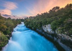 Drzewa, Skały, Rzeka, Waikato River, Nowa Zelandia