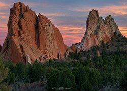 Stany Zjednoczone, Kolorado, Garden of the Gods, Góry, Skały, Drzewa