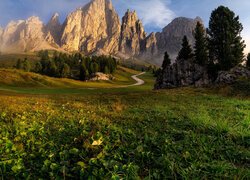 Góry, Dolomity, Mgła, Łąki, Droga, Drzewa, Południowy Tyrol, Włochy