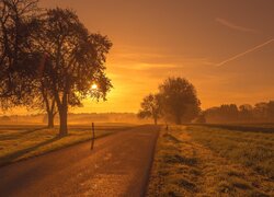 Drzewa przy drodze i mgła nad polami o zachodzie słońca