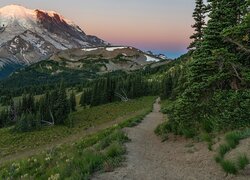 Wschód słońca, Góry, Śnieg, Droga, Drzewa, Stratowulkan, Mount Rainier, Park Narodowy Mount Rainier, Stan Waszyngton, Stany Zjednoczone