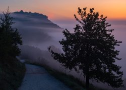 Drzewa przy drodze nad zamglonymi górami