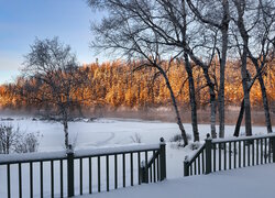 Zima, Drzewa, Balustrada, Jezioro