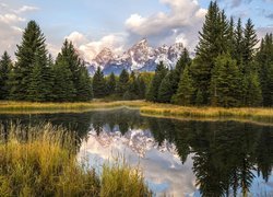 Stany Zjednoczone, Stan Wyoming, Park Narodowy Grand Teton, Rzeka Snake River, Góry Teton Range, Drzewa, Trawy, Odbicie