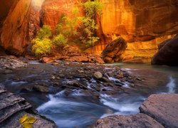 Park Narodowy Zion, Kanion Zion Narrows, Skały, Kamienie, Rzeka, Virgin River, Drzewa, Stan Utah, Stany Zjednoczone