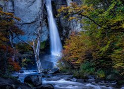 Wodospad, Chorrillo del Salto, Skała, Drzewa, Rzeka, Kamienie, Park Narodowy Los Glaciares, Argentyna