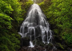 Las, Drzewa, Skała, Wodospad, Fairy Falls, Oregon, Stany Zjednoczone