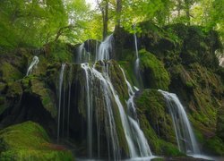 Drzewa przy wodospadzie na omszałych skałach w zielonym lesie