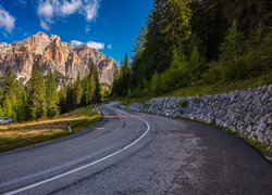 Drzewa przy zakręcie górskiej drogi w Dolomitach