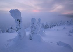 Zima, Góry, Zaśnieżone, Drzewa, Mgła, Finlandia