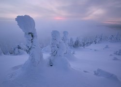 Zima, Góry, Zaśnieżone, Drzewa, Mgła, Finlandia