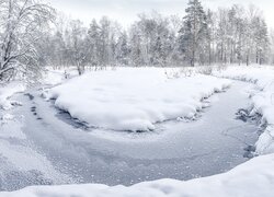 Drzewa w śniegu na brzegu zamarzniętej rzeki