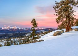 Stany Zjednoczone, Kalifornia, Sierra Nevada, Carson Pass, Zima, Las, Wzgórze, Śnieg, Drzewa, Góry, Kamienie, Niebo