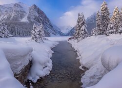 Drzewa w śniegu nad rzeką w górach