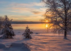 Drzewa w śniegu nad zamarzniętym jeziorem o zachodzie słońca