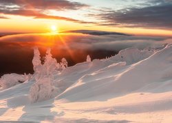 Drzewa w zaspach w promieniach wschodzącego słońca nad zamglonymi górami