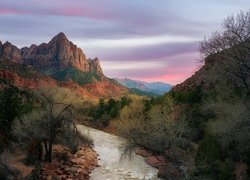 Drzewa wzdłuż rzeki Virgin River i góra Watchman w tle