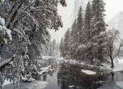 Zima, Rzeka, Drzewa, Góry, Śnieg, Czarno-białe