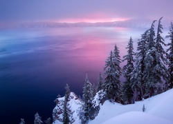 Stany Zjednoczone, Oregon, Jezioro Kraterowe, Zima, Świerki