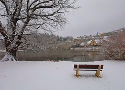 Drzewo i ławka w śniegu na brzegu jeziora