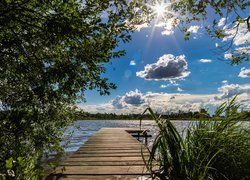 Jezioro, Pomost, Drzewo, Szuwary, Chmury, Promienie słońca