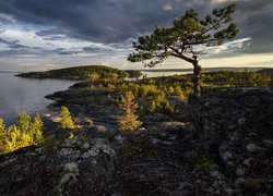 Rosja, Karelia, Jezioro, Ładoga, Skały, Drzewo, Chmury