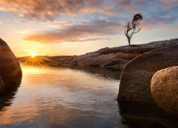 Australia, Tasmania, Binalong Bay, Morze, Skały, Drzewo, Wschód słońca, Chmury